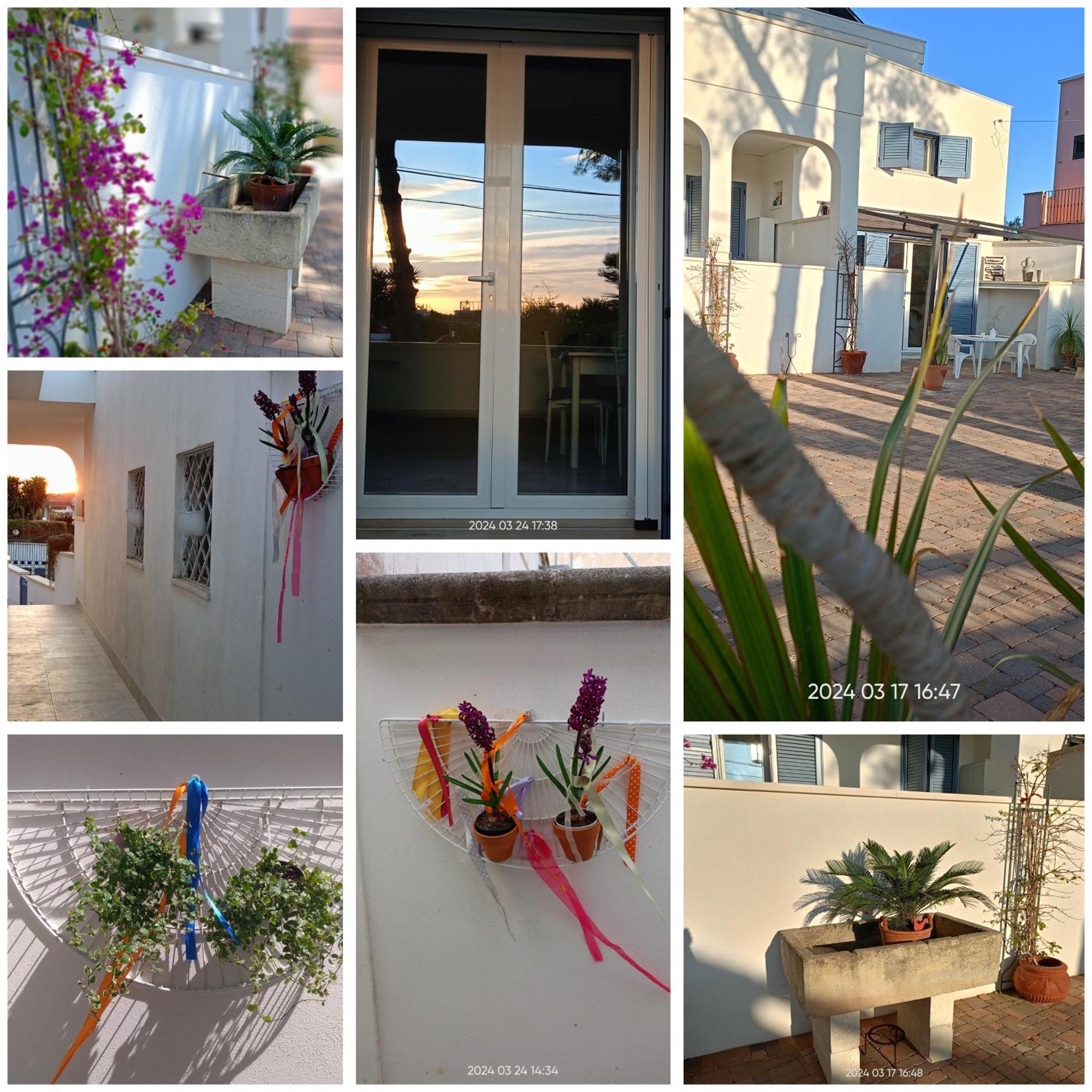 Ferienwohnung Dimora Carose Santa Maria al Bagno Exterior foto
